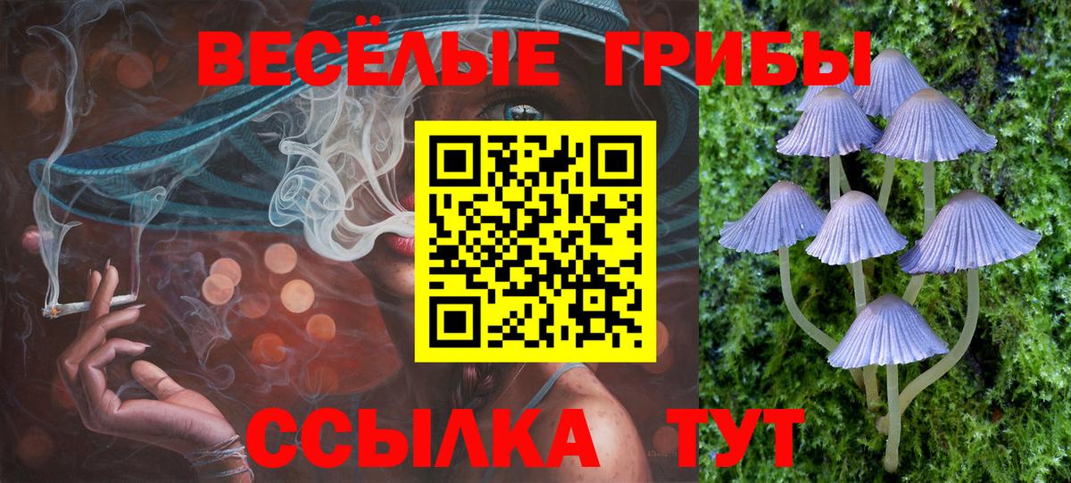 Псилоцибиновые грибы мицелий Донской
